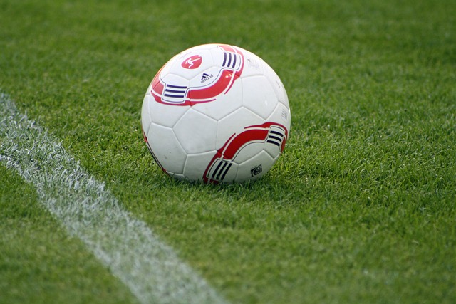 万欧元能够 万欧元能够