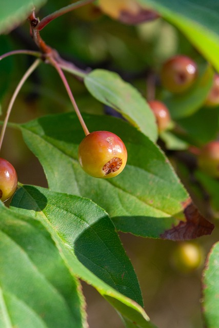 及推进共同 及推进共同