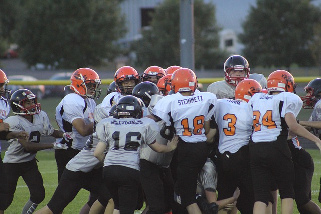 队的季后赛 队的季后赛