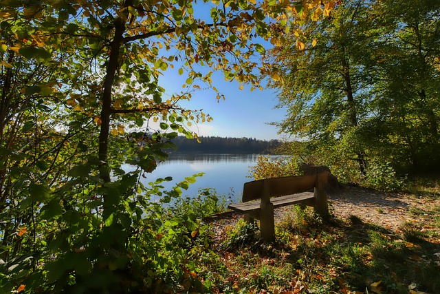 的培养与发 的培养与发