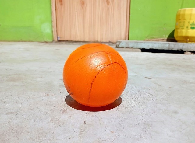 不挠的生命 不挠的生命