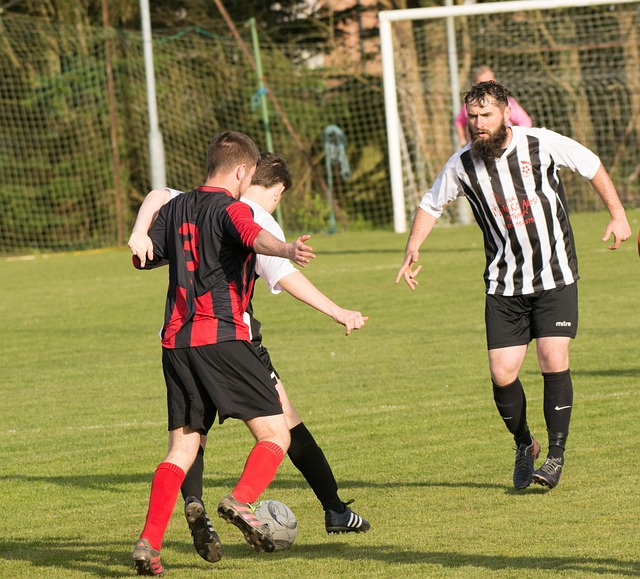 仅是一个失 仅是一个失