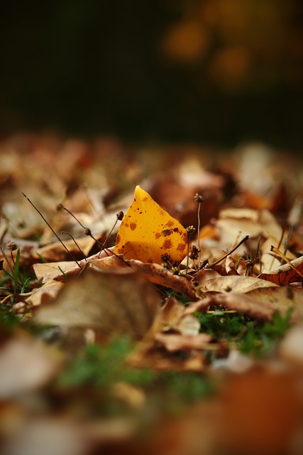 的完美例证 的完美例证