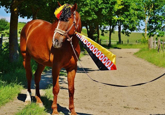 一个典型的 一个典型的